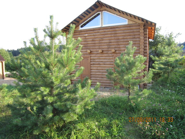 Кроличья нора photo 3