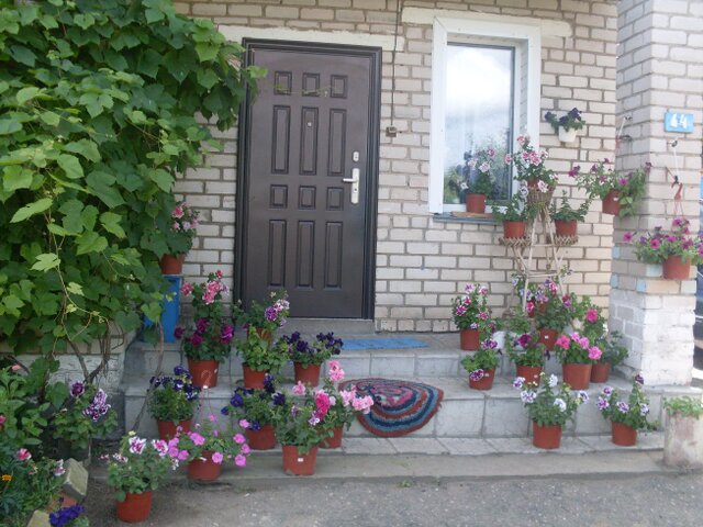 Лесная поляна photo 3