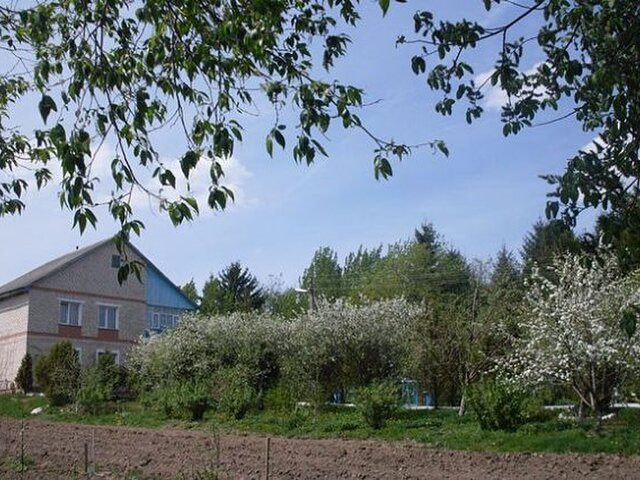 Лесная поляна