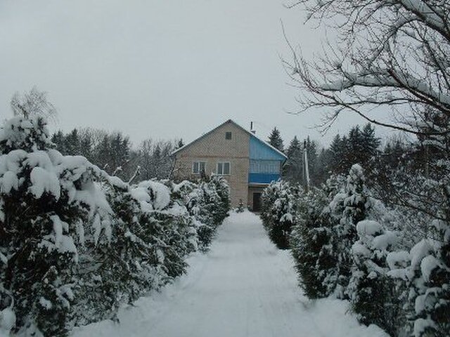 Лесная поляна photo 2