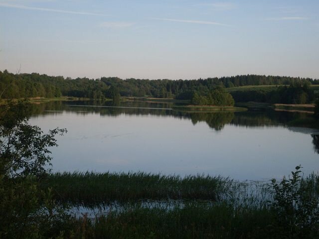Лесная поляна photo 0