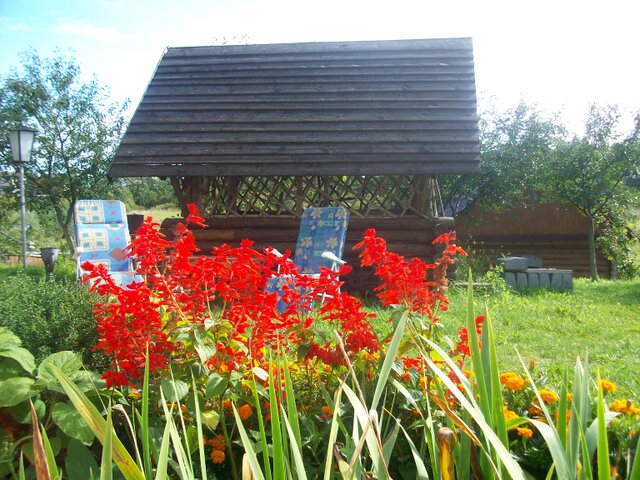 У чистого пруда photo 3