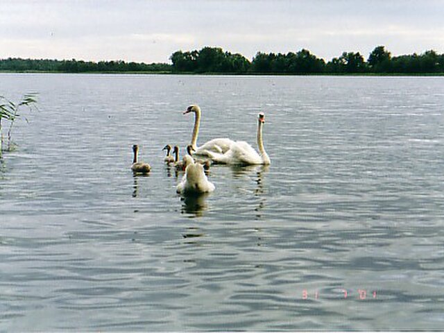 Долгое photo 0