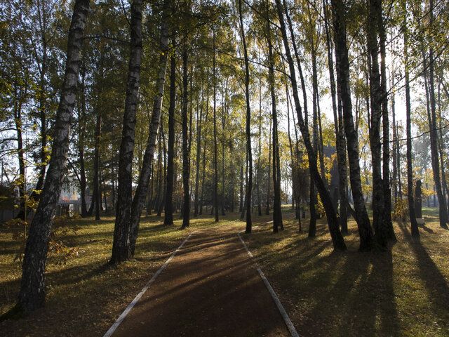 Ветряная мельница в Русино photo 1