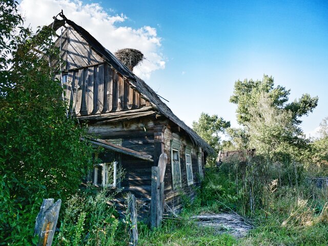 Полесская деревня Кудричи под Пинском photo 0