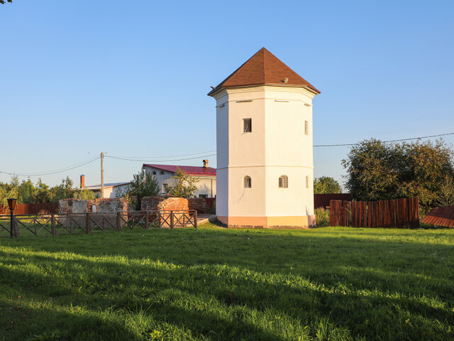 Замок Ходкевичей и Сапег в Быхове photo 0