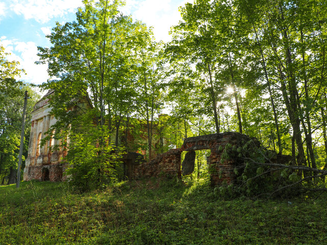 Дворец Гильзенов в Освее photo 3