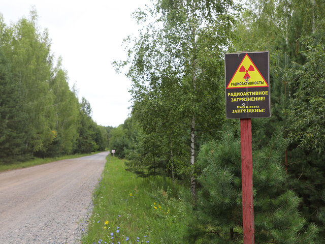 Усадьба Герардов в Демьянках photo 2