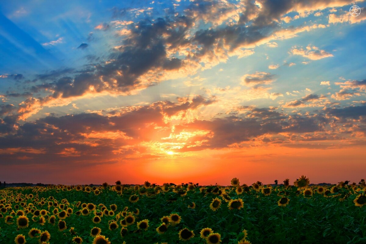 Природа Краснодарского края