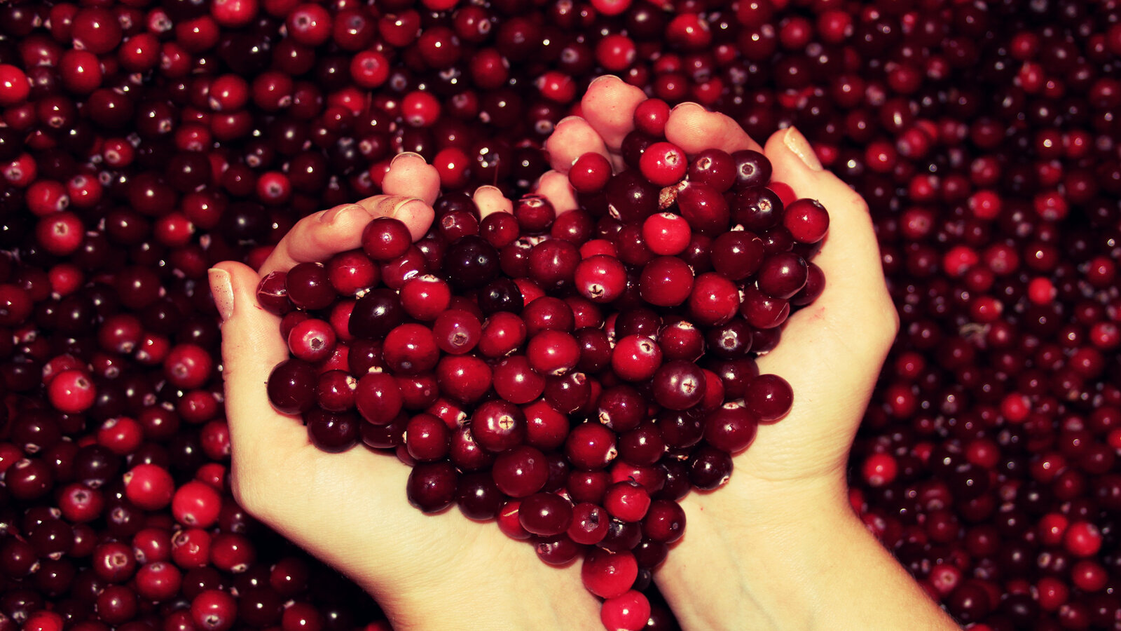 100 вещей, которые нужно сделать в Беларуси