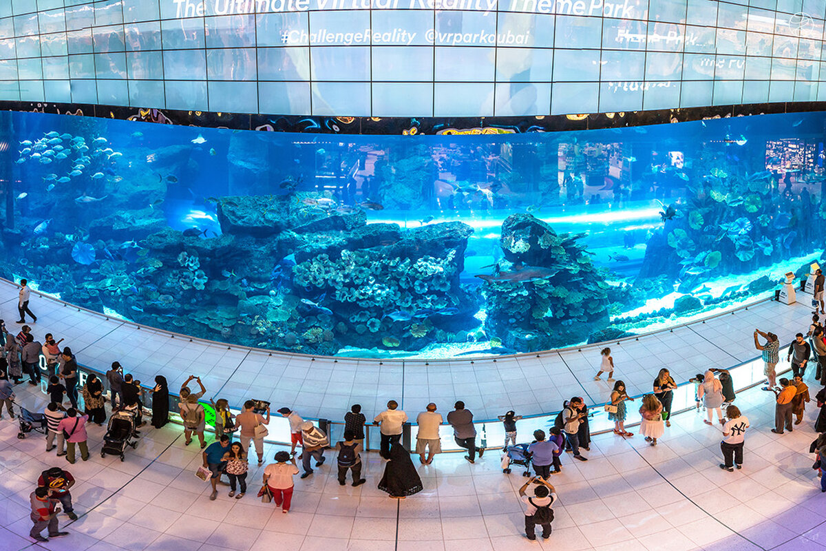 Dubai Aquarium and Underwater Zoo