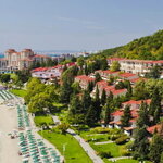 Елените