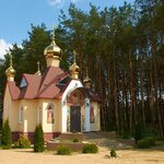 Гнесичи