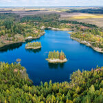 Климовичи