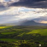 Минеральные воды