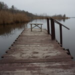 Березинский заповедник