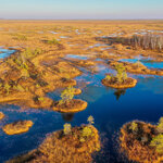 Ельня