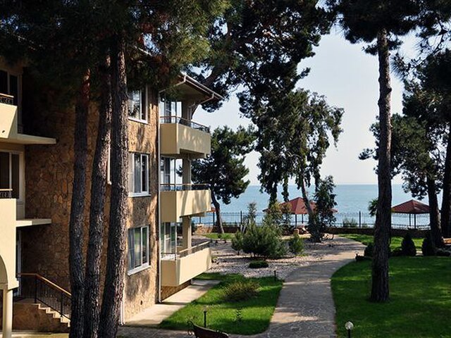 Дельфин photo 3