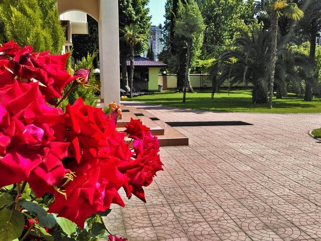 Аибга photo 2