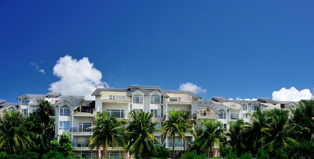 Wanbo Club 4*
