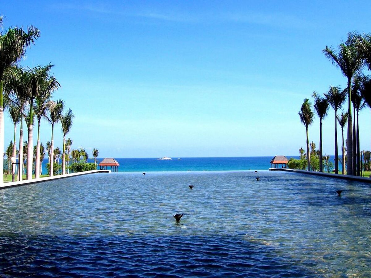 Mangrove Tree Resort