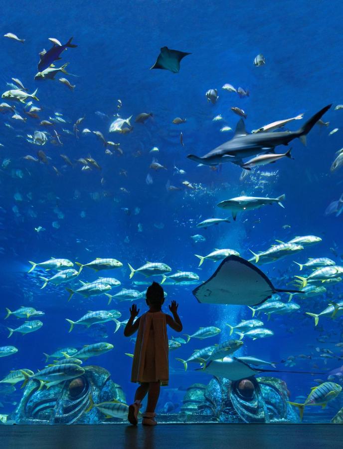 Atlantis Sanya 5*, фото 3