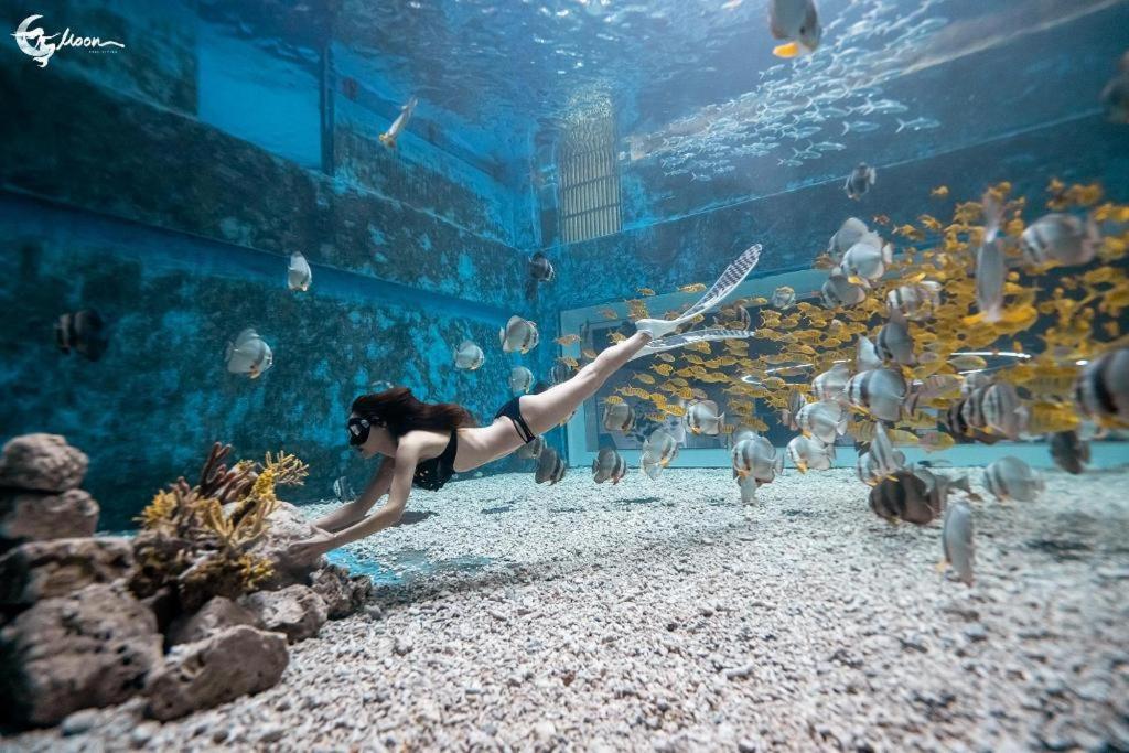Sanya Discovery Ocean World 4*, фото 9