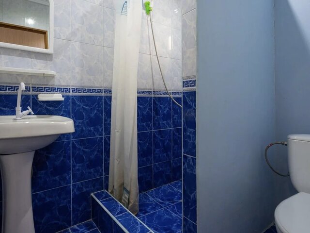 Лилия photo 3