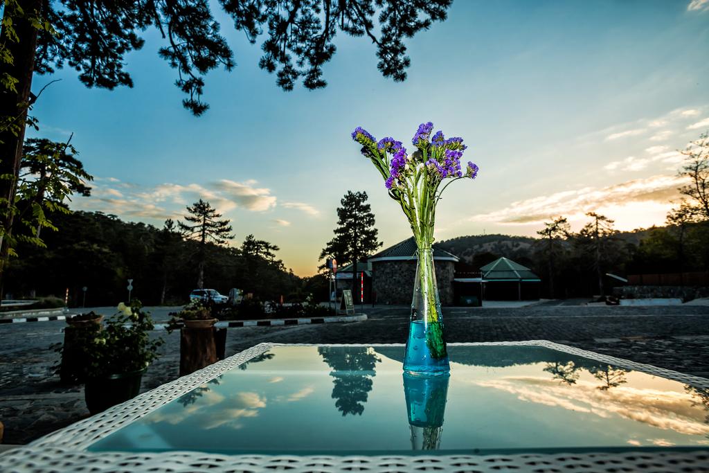 Troodos 2*, фото 9