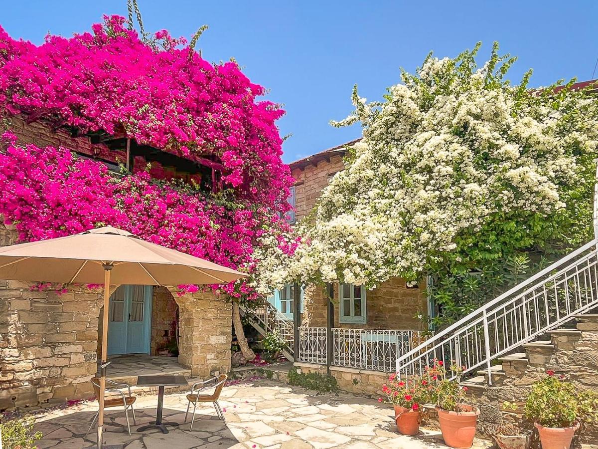 Traditionelle Apartments Cyprus Village Kalavassos 3*, фото 5