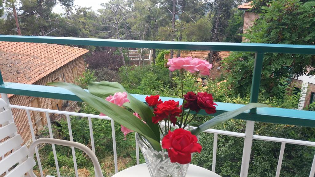 Edelweiss 2*, фото 5