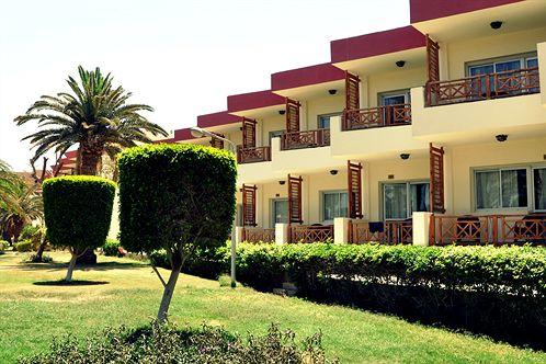 Festival Shedwan Golden Beach Resort (Закрыт в 2017) 3*, фото 2