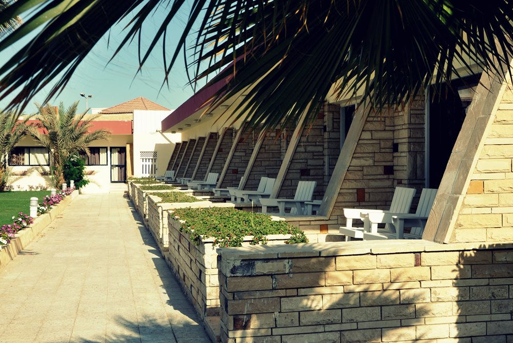 Festival Shedwan Golden Beach Resort (Закрыт в 2017) 3*, фото 3