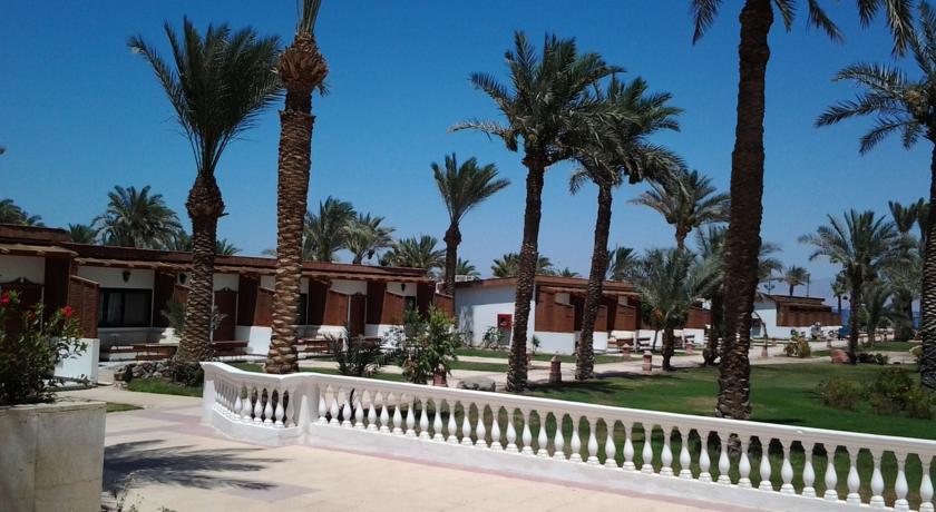 Nuweiba Club Resort 4*, фото 16