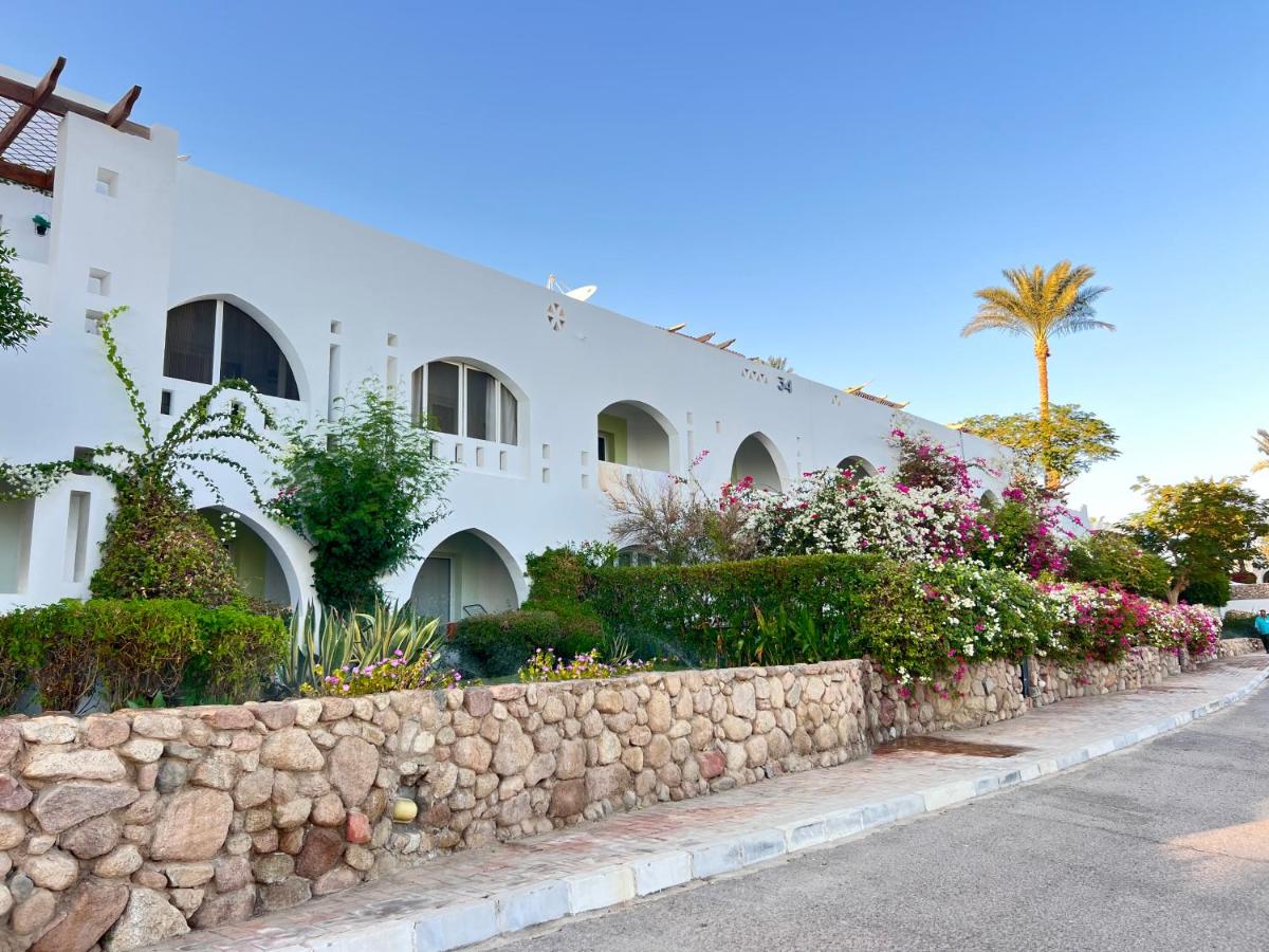 Domina Coral Bay Prestige Sea Sharm El Sheikh 5*, фото 6