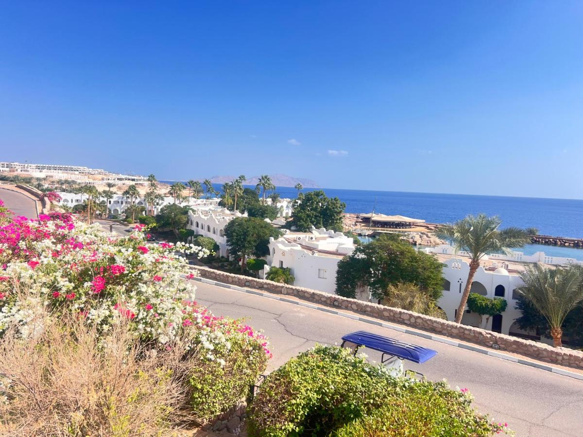 Domina Coral Bay King's Lake Sharm El Sheikh 5*, фото 3