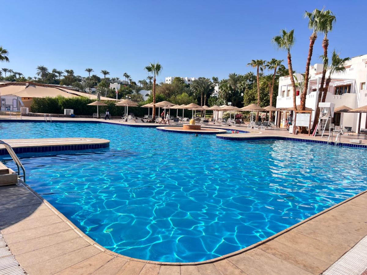 Domina Coral Bay King's Lake Sharm El Sheikh 5*, фото 6