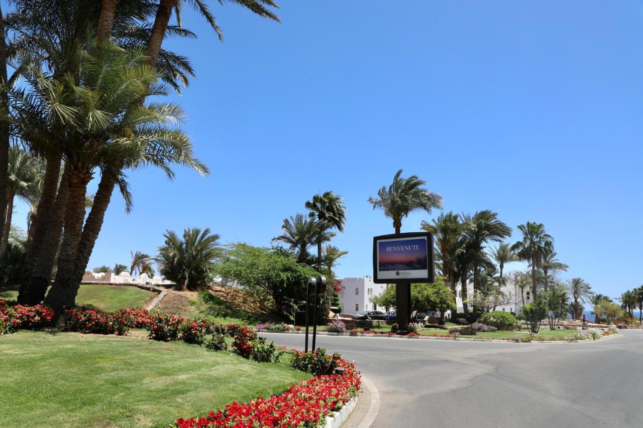 Domina Coral Bay King's Lake Sharm El Sheikh 5*, фото 8