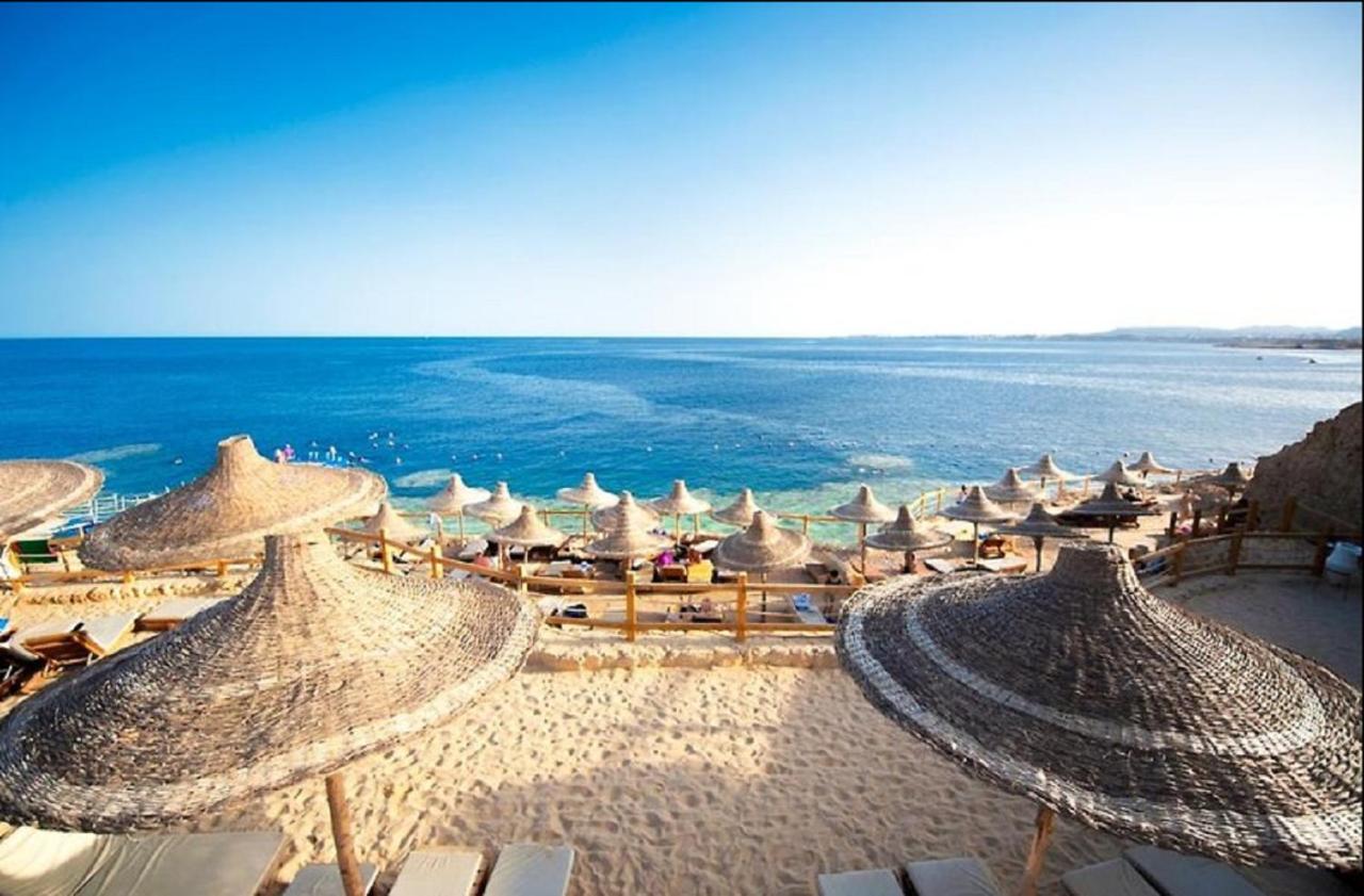 Sharm Club Resort 4*, фото 3