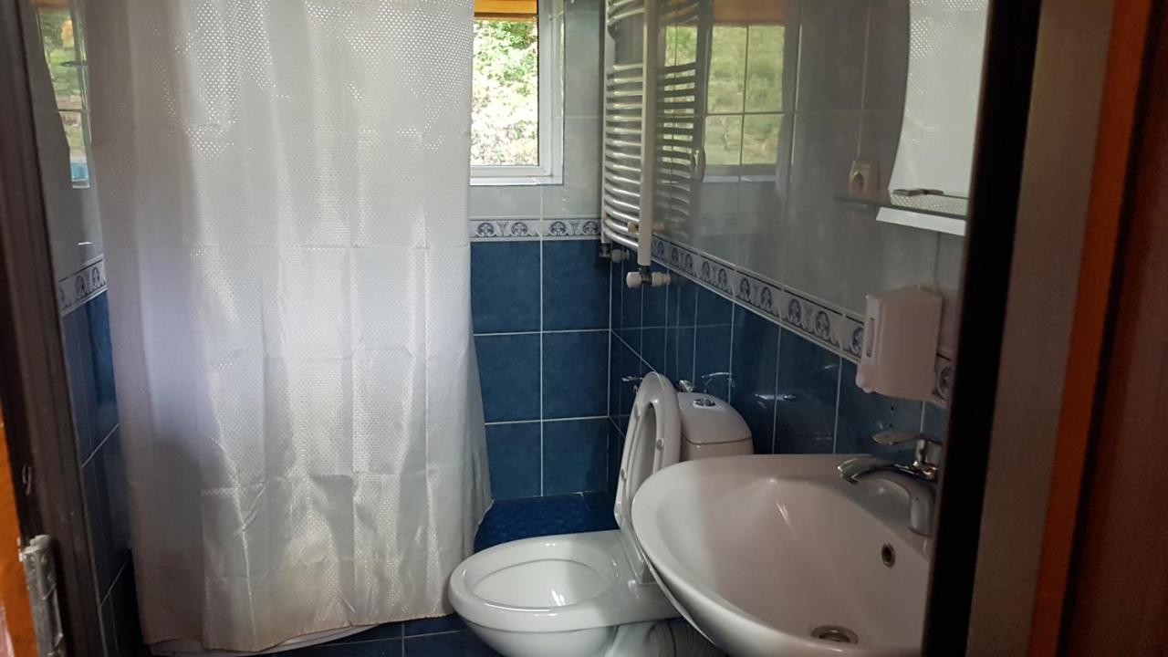 Gagieti Guest House 2*, фото 9