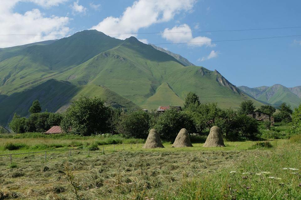Kvesheti Hotel 2*, фото 5