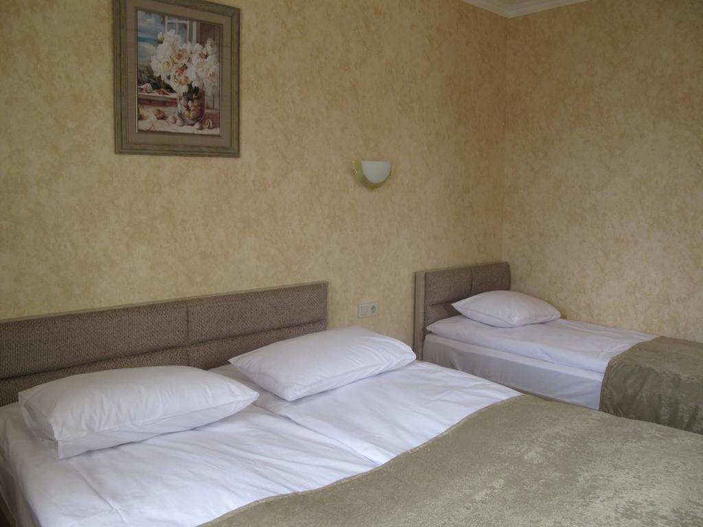 Ok Georgia Hotel 3*, фото 8