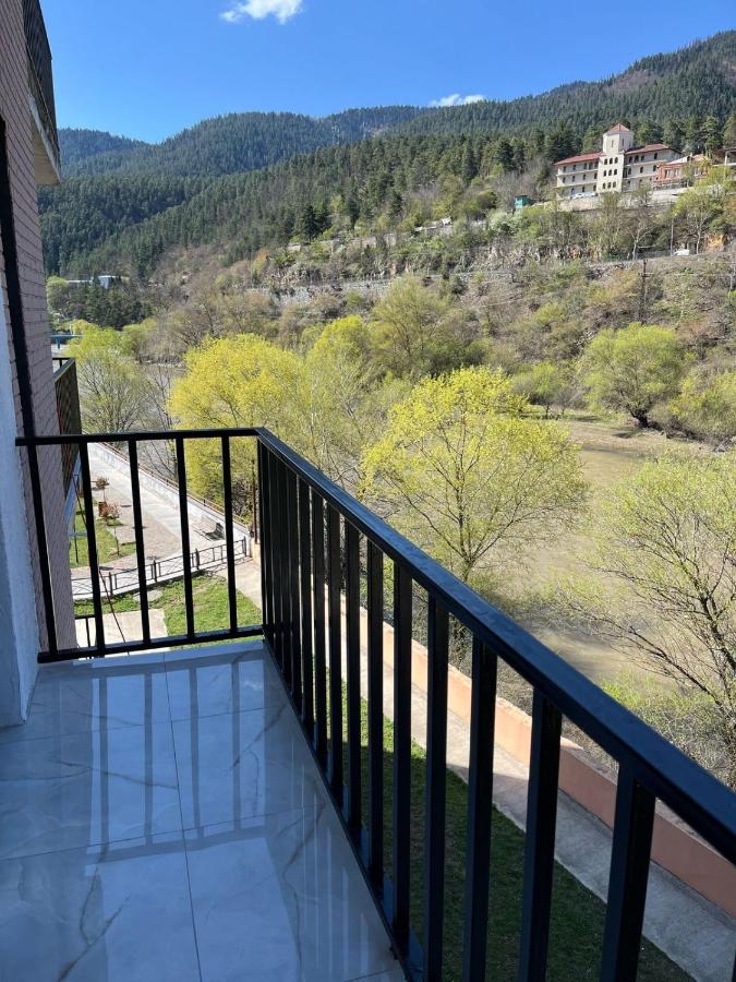 1 Hotel Borjomi 3*, фото 6