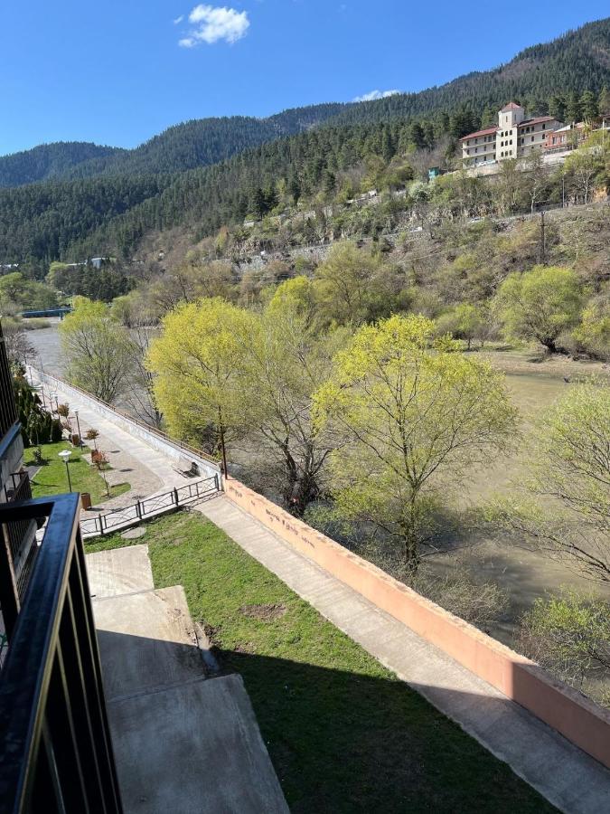 1 Hotel Borjomi 3*, фото 7