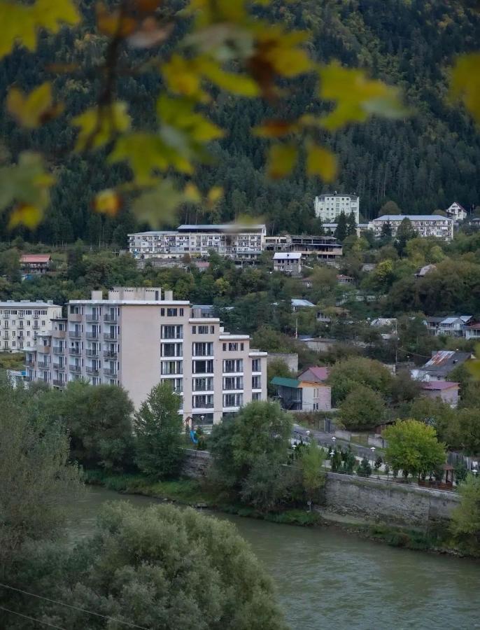 1 Hotel Borjomi 3*, фото 15