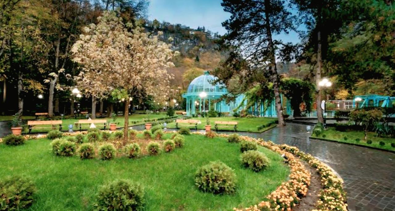 Borjomi  Likani Hotel 5*, фото 8