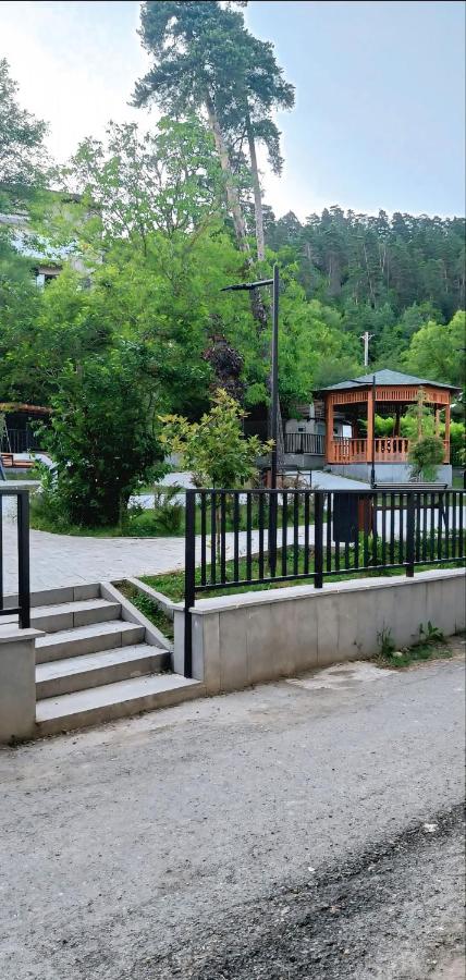 Borjomi  Likani Hotel 5*, фото 11