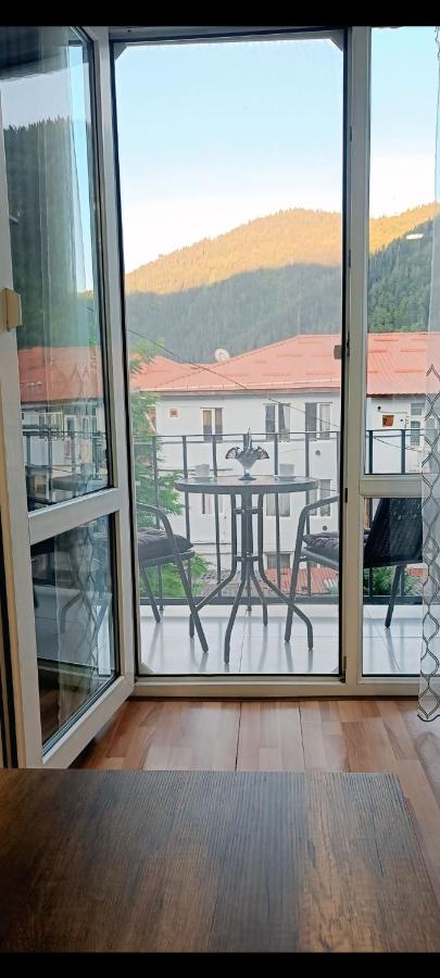 Borjomi  Likani Hotel 5*, фото 12