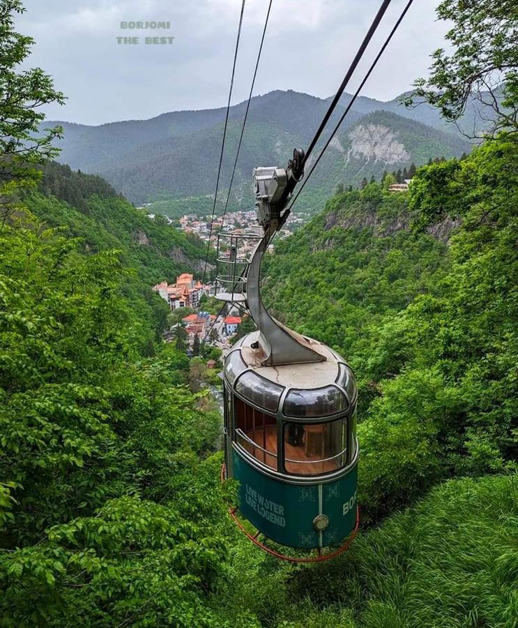 Borjomi  Likani Hotel 5*, фото 13