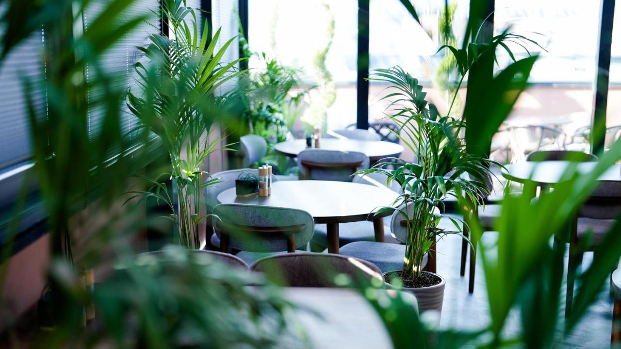 Monday by DNT Group Hotel 4*, фото 9